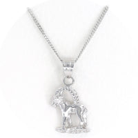 Ασημένιο ανάγλυφο ζώδιο "Αιγόκερως" με αλυσίδα